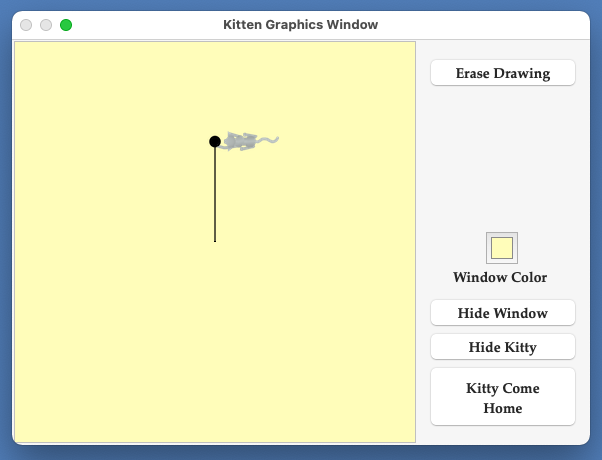 Kitten Graphics Square 2