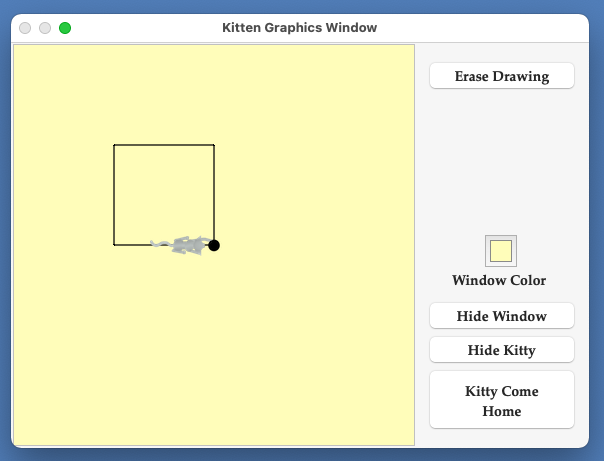 Kitten Graphics Square 4