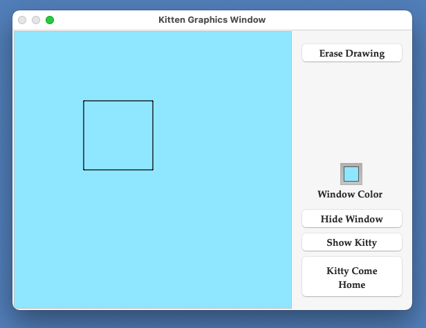 Kitten Graphics Square 5